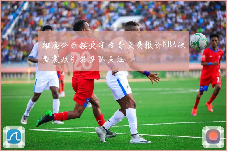 雄鹿公开接受字母哥交易报价NBA联盟震动引发多队关注