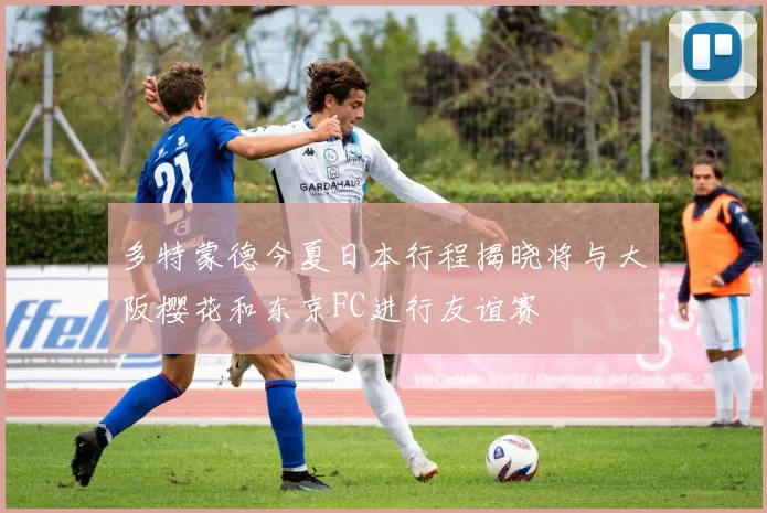 多特蒙德今夏日本行程揭晓将与大阪樱花和东京FC进行友谊赛